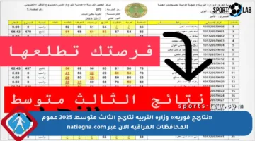 «نتائج فورية» وزارة التربية نتائج الثالث متوسط 2025 عموم المحافظات العراقية الآن عبر natiegna.com